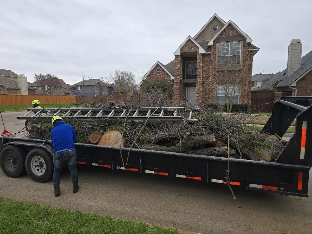Expert Lot Clearing with proper safety equipment in Wheeler